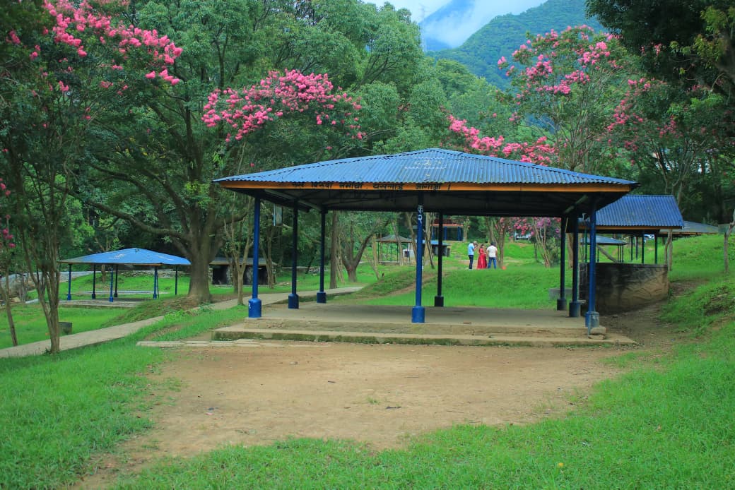 Lush Gardens - Tribhuvan Park